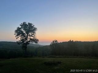 view of local wilderness