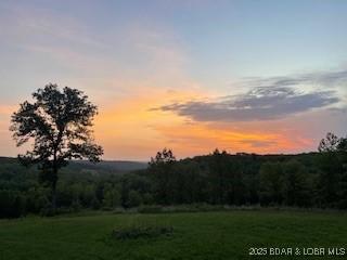 view of nature at dusk