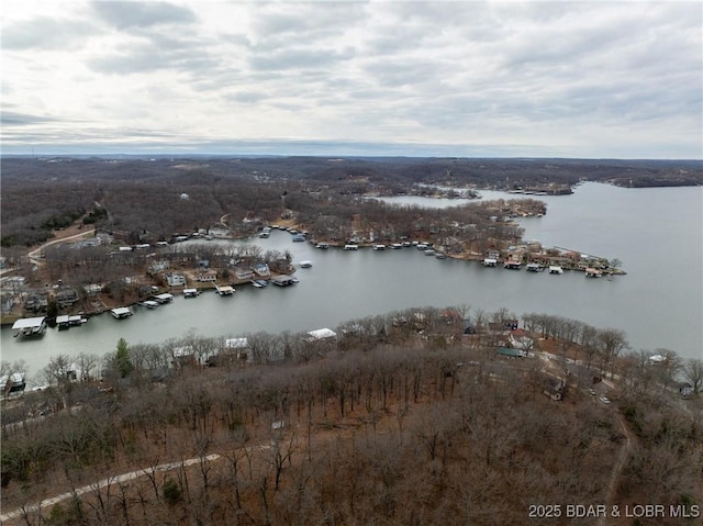 bird's eye view with a water view