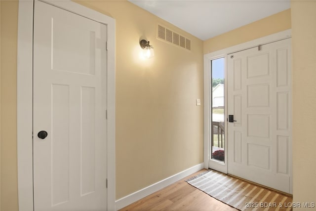 foyer with wood-type flooring