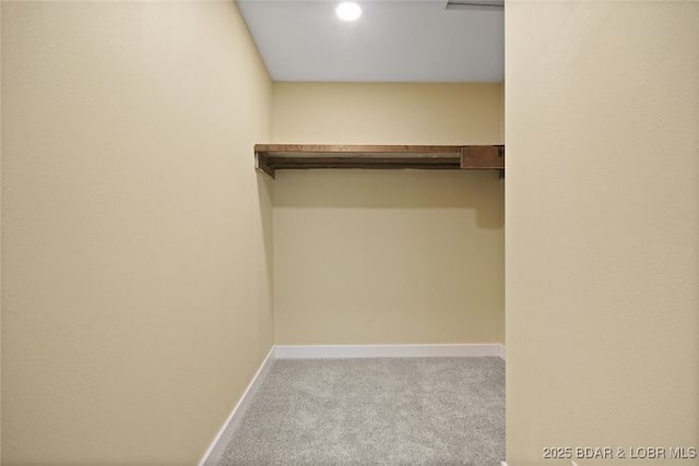 spacious closet featuring light colored carpet