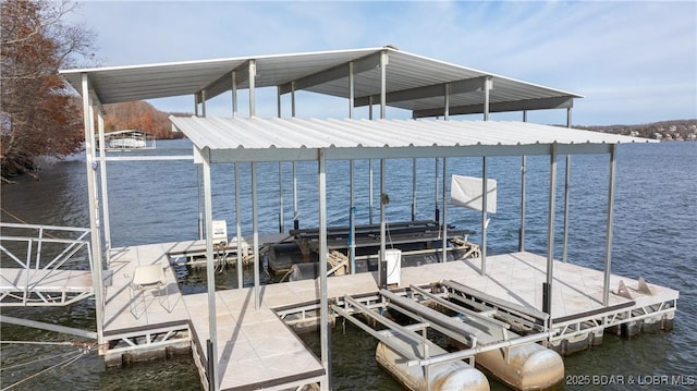 dock area with a water view