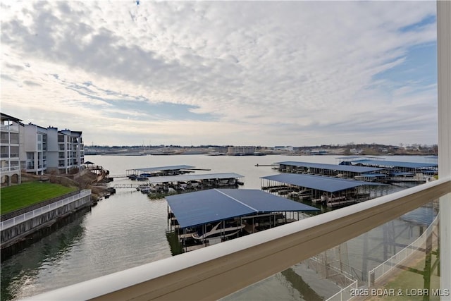 dock area with a water view