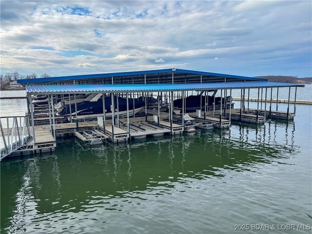 dock area with a water view