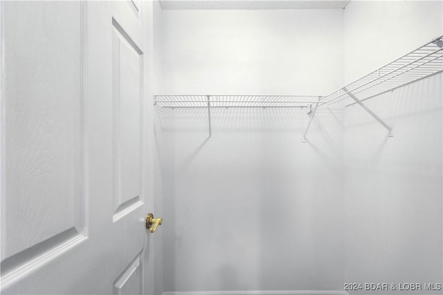 view of walk in closet