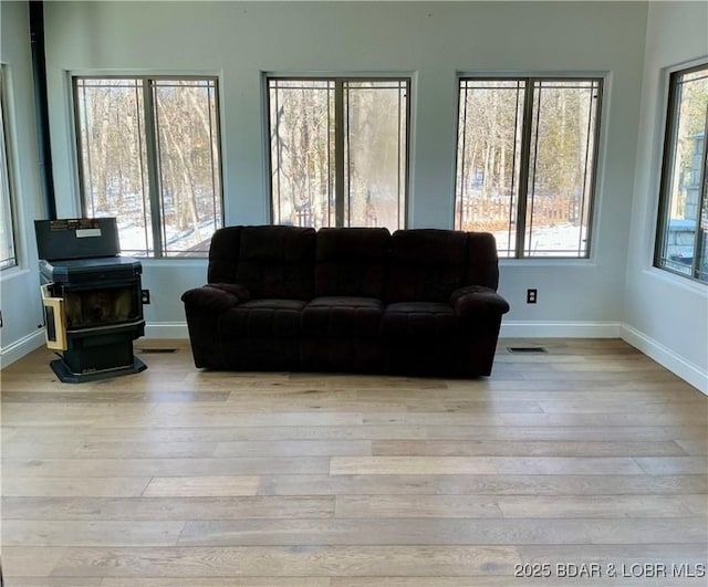 living room featuring light hardwood / wood-style floors and a wood stove