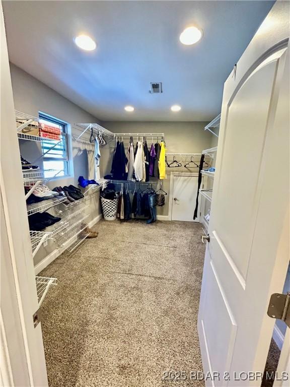 spacious closet featuring carpet floors