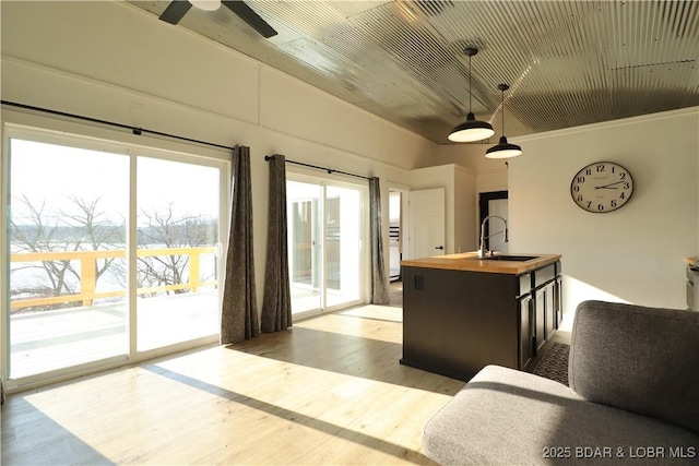 interior space featuring ceiling fan and wood finished floors