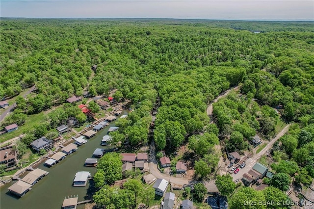 bird's eye view with a forest view