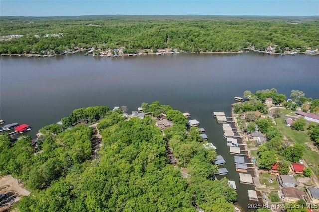 aerial view featuring a water view and a wooded view