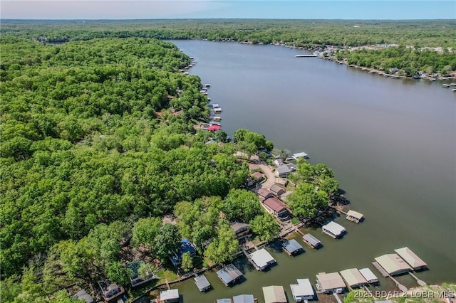 bird's eye view featuring a water view and a view of trees