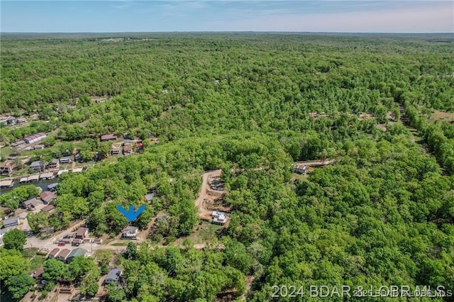 bird's eye view with a wooded view