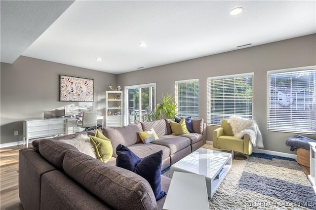 living room featuring hardwood / wood-style flooring