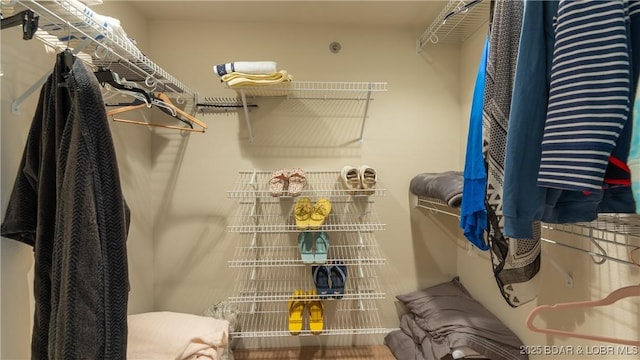 view of walk in closet