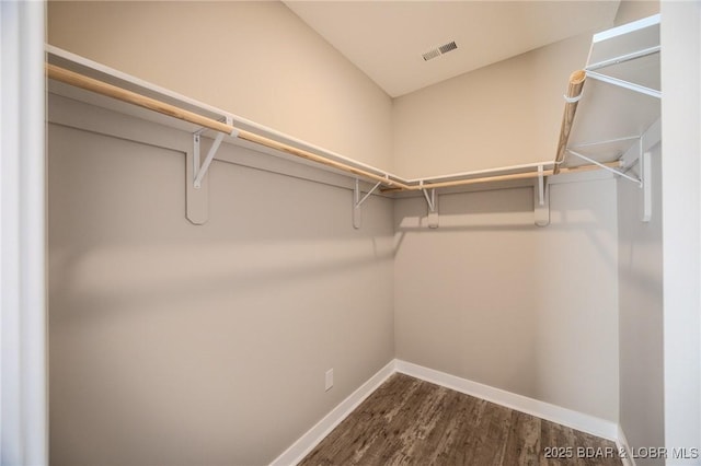 walk in closet featuring dark hardwood / wood-style flooring