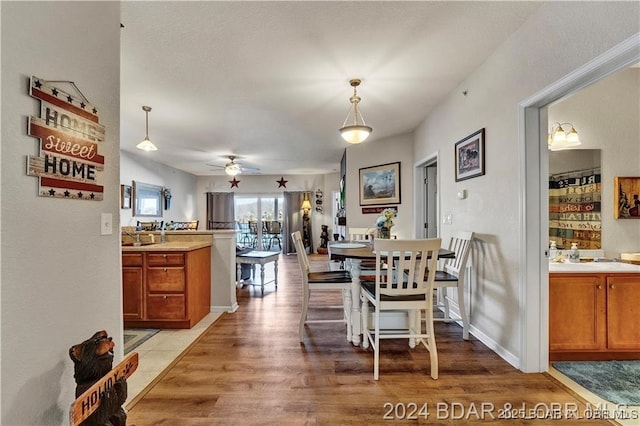 dining area featuring ceiling fan and light hardwood / wood-style flooring