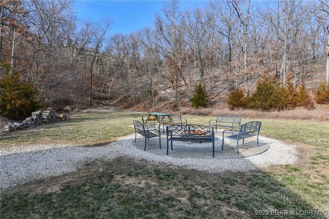 view of yard featuring a patio