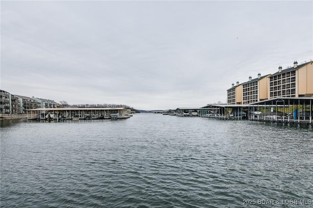 water view with a dock