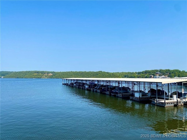 view of dock with a water view