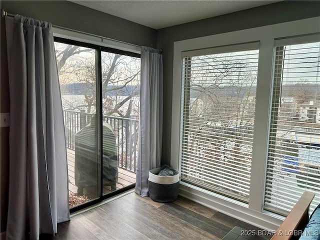 doorway to outside with hardwood / wood-style flooring and a textured ceiling