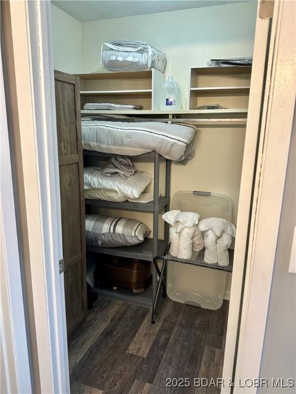 spacious closet with wood-type flooring