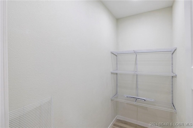 spacious closet with wood-type flooring