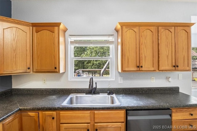 kitchen featuring stainless steel dishwasher and sink