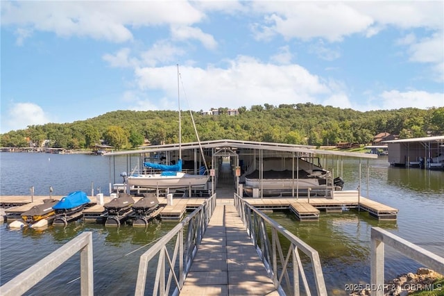 dock area featuring a water view