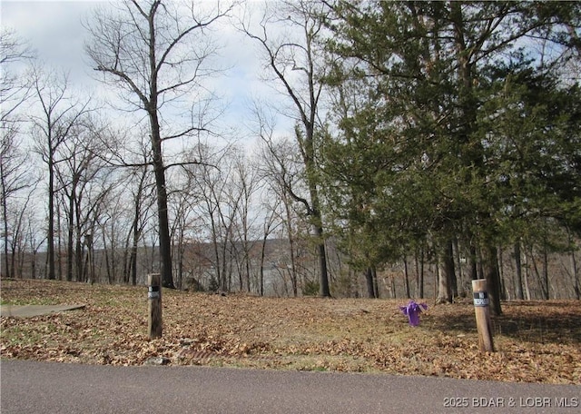 Listing photo 3 for LOT3 Golden Beach Rd, Barnett MO 65011