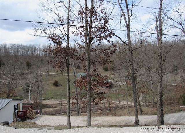 Listing photo 3 for LOTS32-35 Marina Ln, Barnett MO 65011