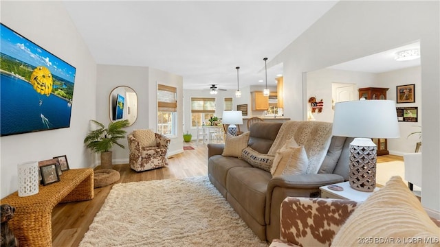 living room with ceiling fan and hardwood / wood-style flooring