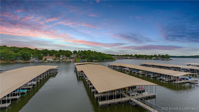 dock area featuring a water view