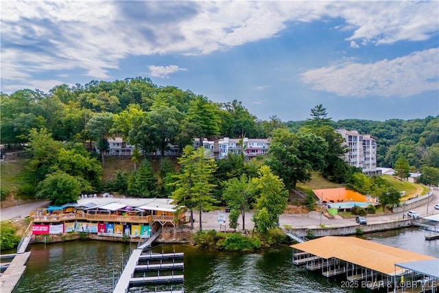 bird's eye view with a water view