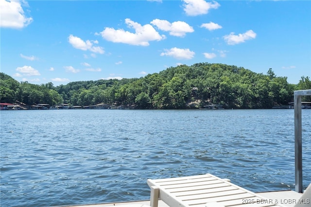 dock area with a water view