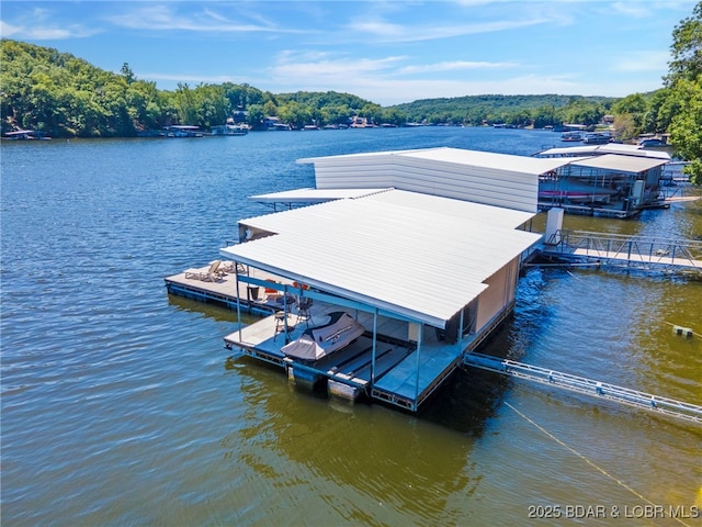 dock area with a water view