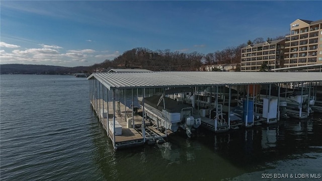 dock area featuring a water view