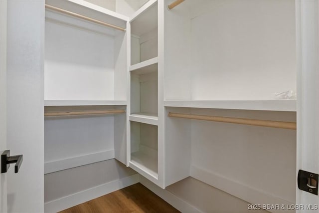 walk in closet featuring hardwood / wood-style floors