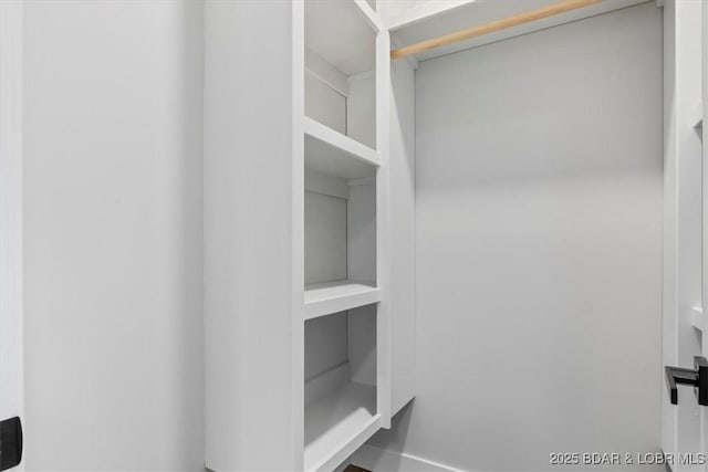 view of spacious closet