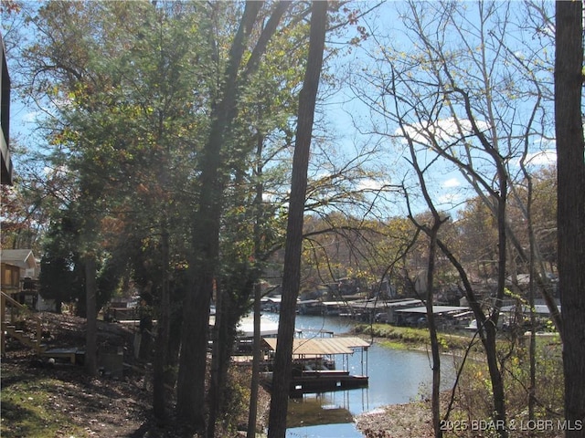 property view of water featuring a dock