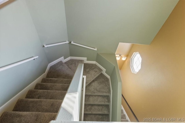 stairway featuring carpet flooring