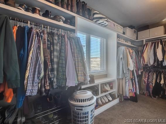 walk in closet featuring carpet floors