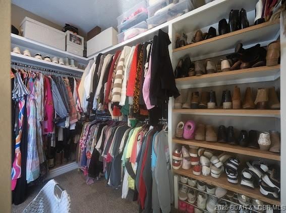 walk in closet featuring carpet flooring