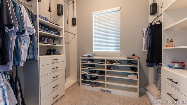 spacious closet with light colored carpet