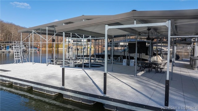 dock area with a water view