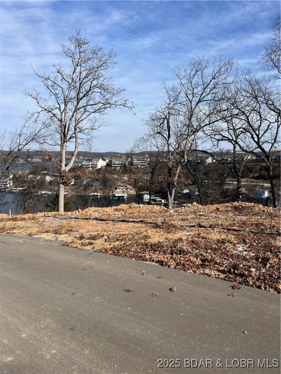 LOT27 Redbud Ln, Lake Ozark, MO 65049