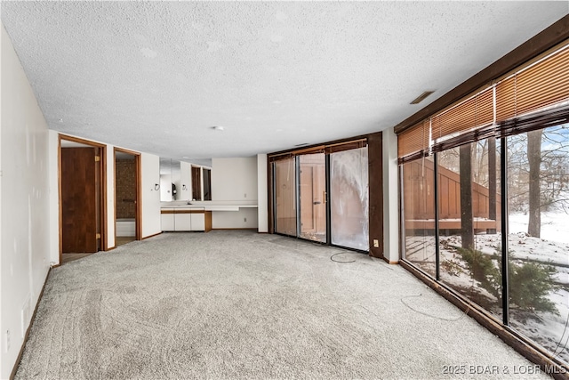 interior space with a wealth of natural light, carpet, and a textured ceiling