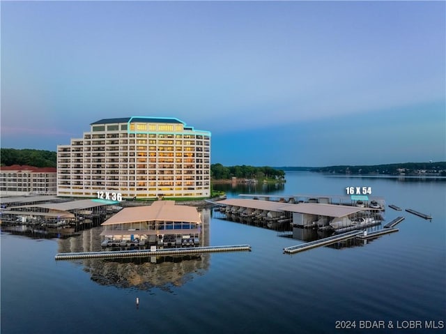 dock area with a water view