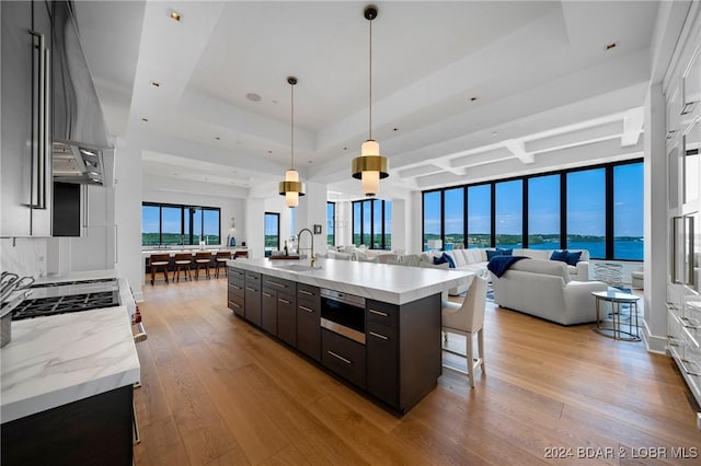 kitchen with sink, hanging light fixtures, a raised ceiling, dark brown cabinets, and a water view