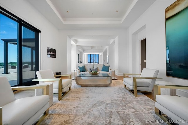 living room featuring plenty of natural light and a tray ceiling