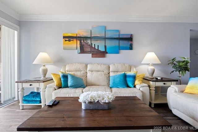 living room featuring hardwood / wood-style floors, a healthy amount of sunlight, and ornamental molding